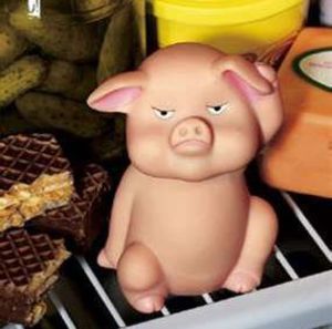 Meet your Posher, Grace